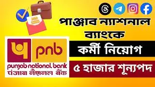 Punjab National Bank New Vacancy 2026 | PNB New Vacancy 2026 Notification | PNB Apprentice Bharti