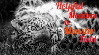 Helpful Modders (⚠️WARNING⚠️Flash, glitches, & loud song) — Wild Animals Online