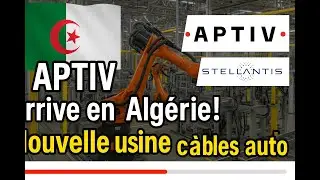 Automobile: La multinationale &laquo; APTIV &raquo; veut lancer une usine en Alg&eacute;rie
