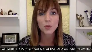 Amber Final Malacostraca update!