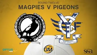 R12 2023 - Wangaratta Magpies vs Yarrawonga Pigeons Netball