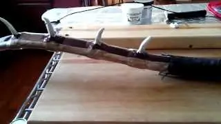 Как изогнуть зубы дракона на луке из драконьей кости (ПВХ и InstaMorph)