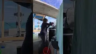 Solar powered Washing Day #boatrefit #boatlife #washing #washingmachine #solar