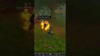 Taking Down Hogger in World of Warcraft 2023