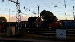 Atomtransporte stoppen - Hambi bleibt! 2018.09.24