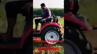 Massey 6028 4WD Mini Tractor with Rotavator