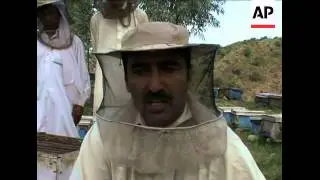 AP focus on how Taliban relies on extortion, crme and drugs for funds