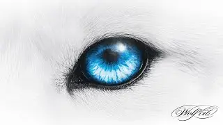 1ST - 25 ชั่วโมง (คิดถึงเกิน) FT. SARAN, BLVCKHEART (Official Visualizer) WOLF CUB ALBUM