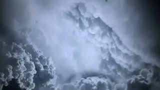 White Fox Music - One Life
