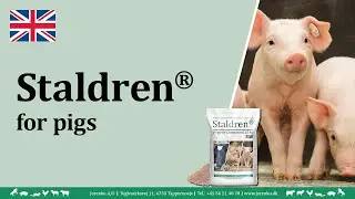 Staldren&reg; usage in pigsties (English) | JORENKU