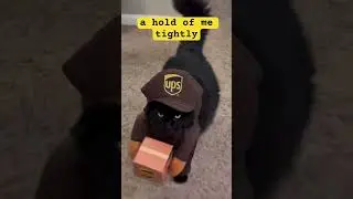 This hilarious cat is delivering more than packages! #viral #trending #funny #cat #cute