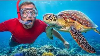 Finding Wild Turtles In Hawaiian Water!
