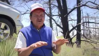 Lakota Reforestation