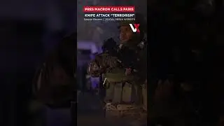 WATCH | Knife Attack Foiled At Paris&rsquo; Arc de Triomphe, Suspect Shot Dead by Police | VERTEX