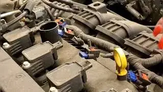Removing spark plugs- Ford focus