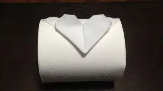 Toilet Paper Origami Heart
