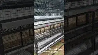 12*3 HI TECH CAGE  PH:6282847419