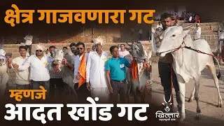 क्षेत्र गाजवणारा गट म्हणजे आदत खोंड गट । चंदूर खिल्लार प्रदर्शन | Khillar Maharashtrachi Shaan 2025