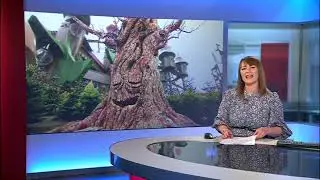 Presenting BBC Look North  - North East and Cumbria