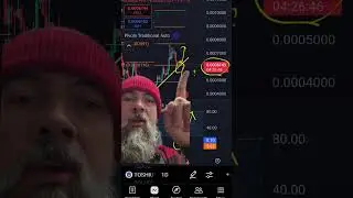 Toshi meme coin daily chart Technical analysis. July 28th 2025.