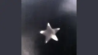 H2L