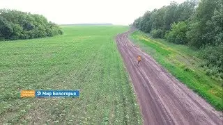 &laquo;Это вещь&raquo;. Муравский шлях (Анонс)