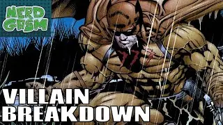 CATMAN - Supervillain Breakdown