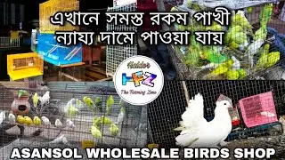 BIGGEST BIRDS MARKET IN ASANSOL | BIRDS IN REASONABLE PRICE | ALL TYPES OF BIRDS ARE AVAILABLE |