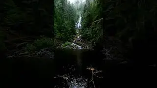 Upper Proxy Falls cascades 130' down the side of a lush valley #waterfalls