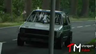 Rally car hits big bird at 5. ADAC Rallye Gr&ouml;negau 2012 (pheasant) [HD]