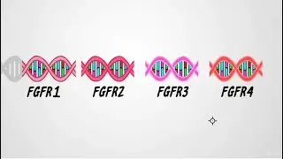 FGFR Mutations