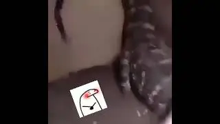 kimi no Toriko (meme)