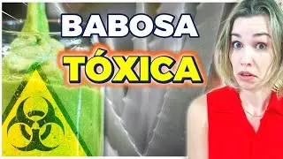 Qual babosa pode fazer suco? Qual babosa é tóxica?