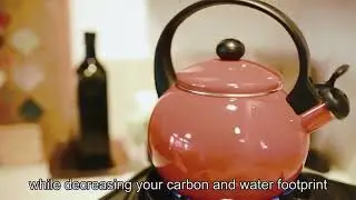 HomeBiogas Bio Toilet  the eco friendly solution for the modern home!