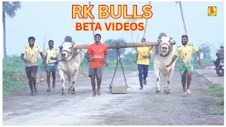 RK BULLS || BETA VIDEO ||