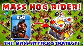 50 MASS HOG RIDER TH11 ATTACK STRATEGY!