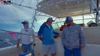 Fly fishing for striped marlin in Cabo San Lucas