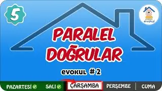 Paralel Doğrular | 5.Sınıf #uzaktanegitim #evokul Kampı