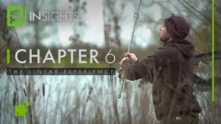 TA|Insights | Chapter Six | The Linear Experience | Myles Gibson