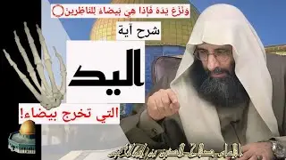 شرح آية اليد التي تخرج بيضاء، و إبطال ما قيل عنها في التفاسير. الإمام صلاح الدين ابن إبراهيم الخليل.