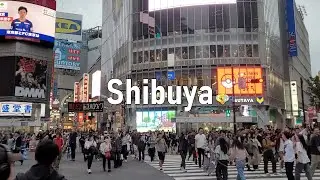Japan день 4: Императорский дворец, Шибуя и что-то еще