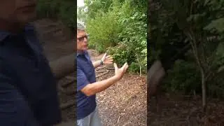 Beechtree Nursery Tour: Red Buds, Don Egoff, Avondale