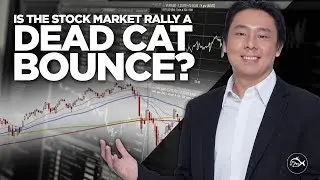 Is the Stock Market Rally a Dead Cat Bounce? By Adam Khoo