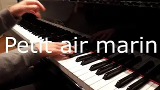 Petit air marin - Didier Squiban