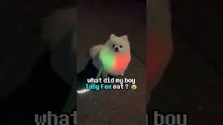 What Did Toby Fox Eat 😭 ? #deltarune #undertale #gaming