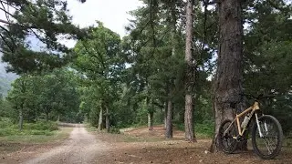 HARİKA DAĞ PARKURLARI TEKKOZ HINZLIRI KÜŞNE DOMUZ DAMI VLOG
