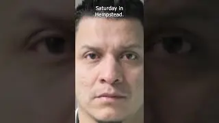 Полиция сообщает, что мужчина из Хемпстеда взят под стражу иммиграционной и таможенной полицией в...