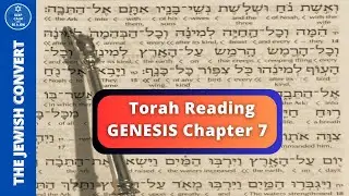 Torah Reading | Genesis Chapter 7 in Hebrew with English Translation