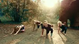 Animal flow for KIDS