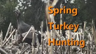 2023 Spring Turkey Hunting